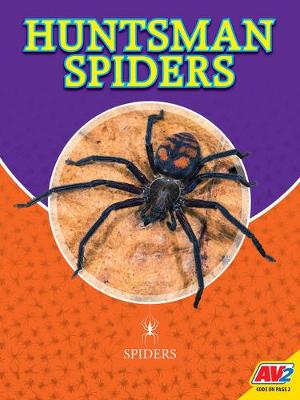 Book cover for Huntsman Spiders