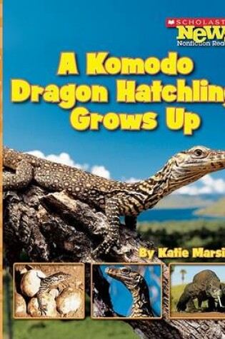 Cover of A Komodo Dragon Hatchling Grows Up