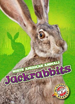Book cover for Jackrabbits