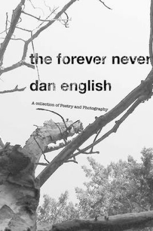 Cover of The Forever Never