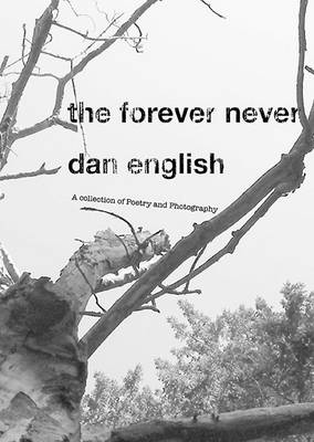 Book cover for The Forever Never