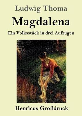 Book cover for Magdalena (Großdruck)