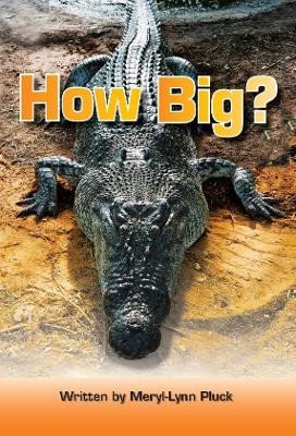 Book cover for How Big