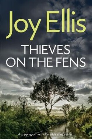 Cover of THIEVES ON THE FENS a gripping crime thriller with a huge twist