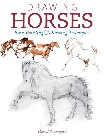 Book cover for Drawing Horses