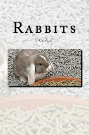 Cover of Rabbits Notebook