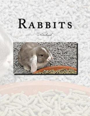 Book cover for Rabbits Notebook