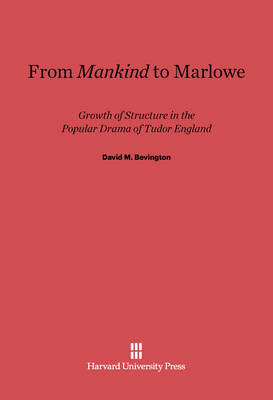 Book cover for From <i>Mankind</i> to Marlowe