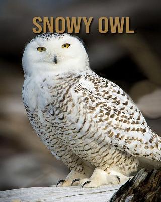 Book cover for Snowy owl