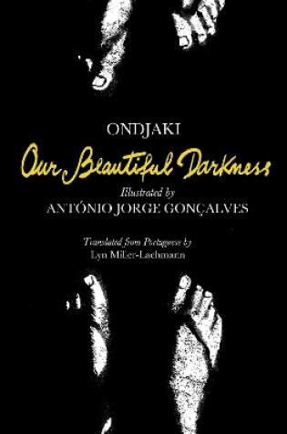 Cover of Our Beautiful Darkness