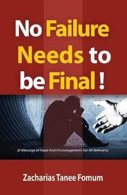 Book cover for No Failure Needs to be Final!