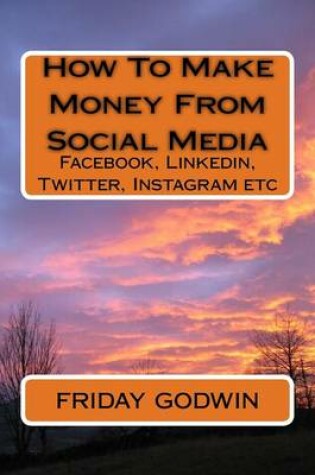 Cover of How To Make Money From Social Media