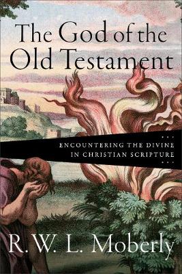 Book cover for The God of the Old Testament