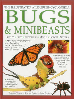 Cover of Illustrated Wildlife Encyclopedia: Bugs & Minibeasts