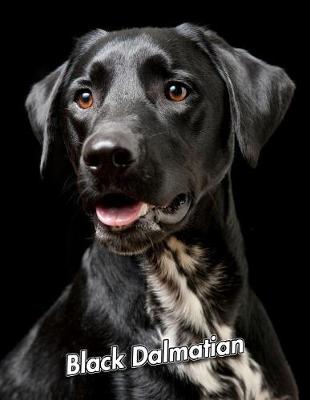 Book cover for Black Dalmatian