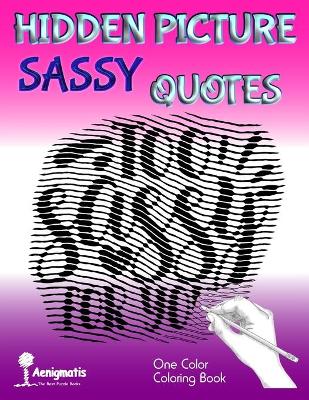 Book cover for Hidden Picture Sassy Quotes