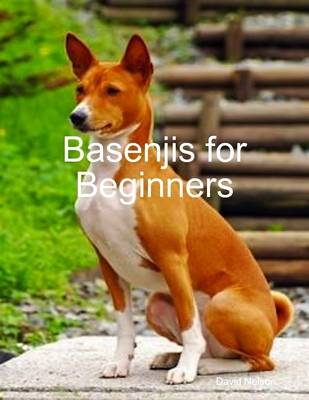 Book cover for Basenjis for Beginners