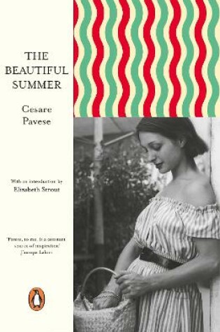 Cover of The Beautiful Summer