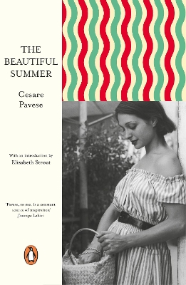 Book cover for The Beautiful Summer