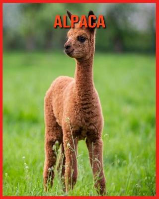 Book cover for Alpaca