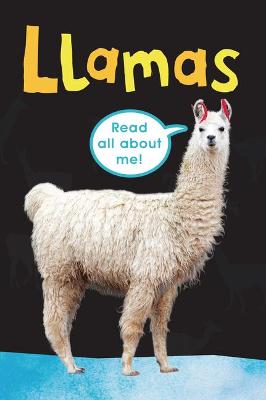 Book cover for Llamas