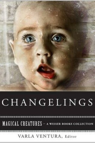 Cover of Changelings: or, Beware Baby Snatchers of the Fairy Kingdom