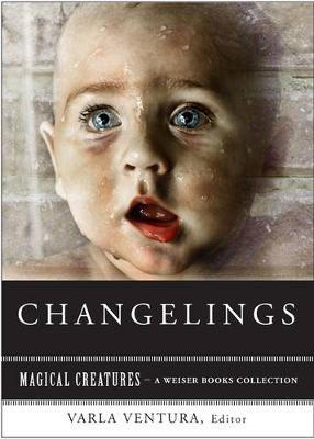 Book cover for Changelings: or, Beware Baby Snatchers of the Fairy Kingdom