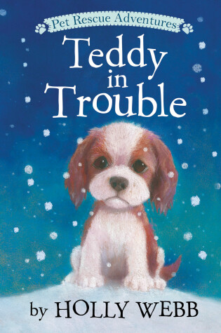 Cover of Teddy in Trouble