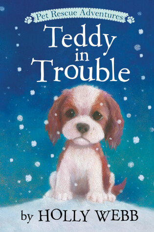 Book cover for Teddy in Trouble