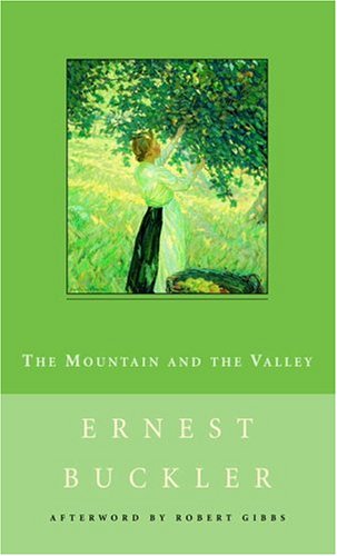 Book cover for The Mountain and the Valley