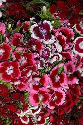 Cover of Journal Flowers Pretty Pink Dianthus