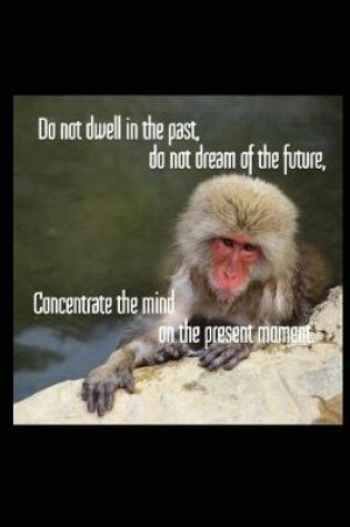 Cover of Do Not Dwell in the Past, Do Not Dream of the Future, Concentrate the Mind on the Present Moment