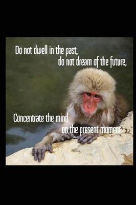 Book cover for Do Not Dwell in the Past, Do Not Dream of the Future, Concentrate the Mind on the Present Moment