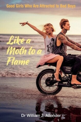 Cover of Like a Moth to a Flame