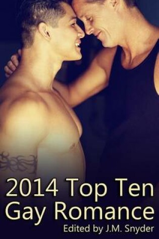 Cover of 2014 Top Ten Gay Romance