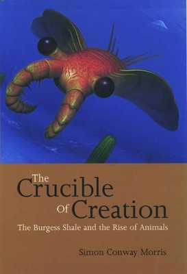 Book cover for The Crucible of Creation