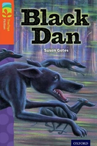 Cover of Oxford Reading Tree TreeTops Fiction: Level 13 More Pack A: Black Dan