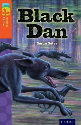 Cover of Oxford Reading Tree TreeTops Fiction: Level 13 More Pack A: Black Dan