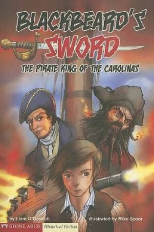 Cover of Blackbeard's Sword