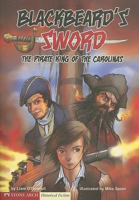Book cover for Blackbeard's Sword