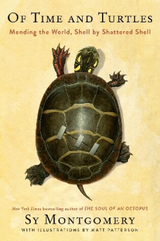 Cover of Of Time and Turtles