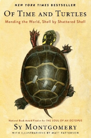 Cover of Of Time and Turtles