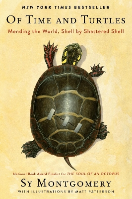 Book cover for Of Time and Turtles