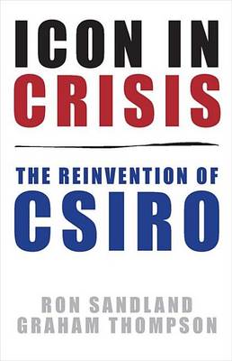 Book cover for Icon in Crisis