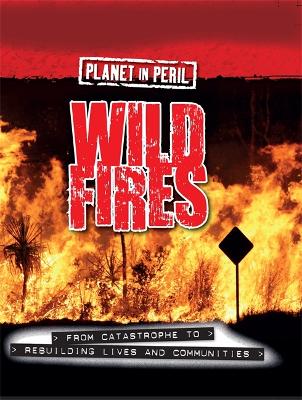 Book cover for Planet in Peril: Wild Fires