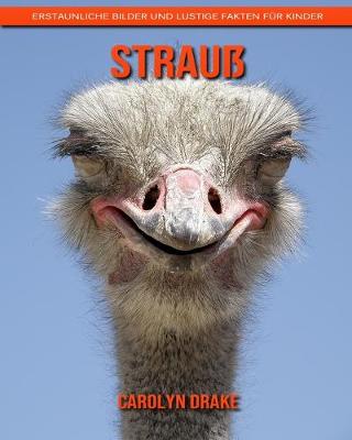 Book cover for Strauß