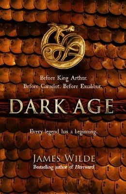 Book cover for Dark Age