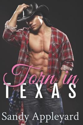 Book cover for Torn in Texas