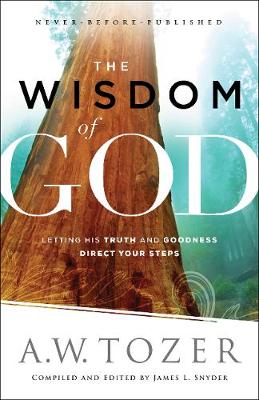 Book cover for The Wisdom of God