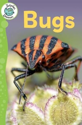 Cover of Tadpoles Learners: Bugs